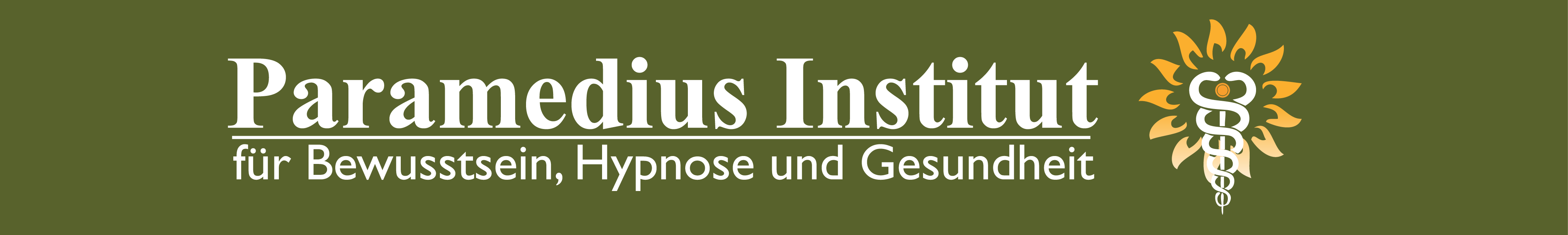 Paramedius Institut